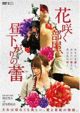 雾港迷局 在线观看高清